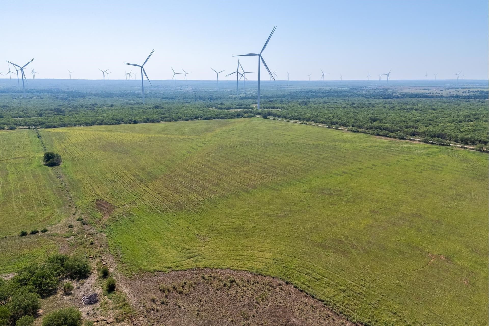 191.5 acres in Callahan County - photo 26