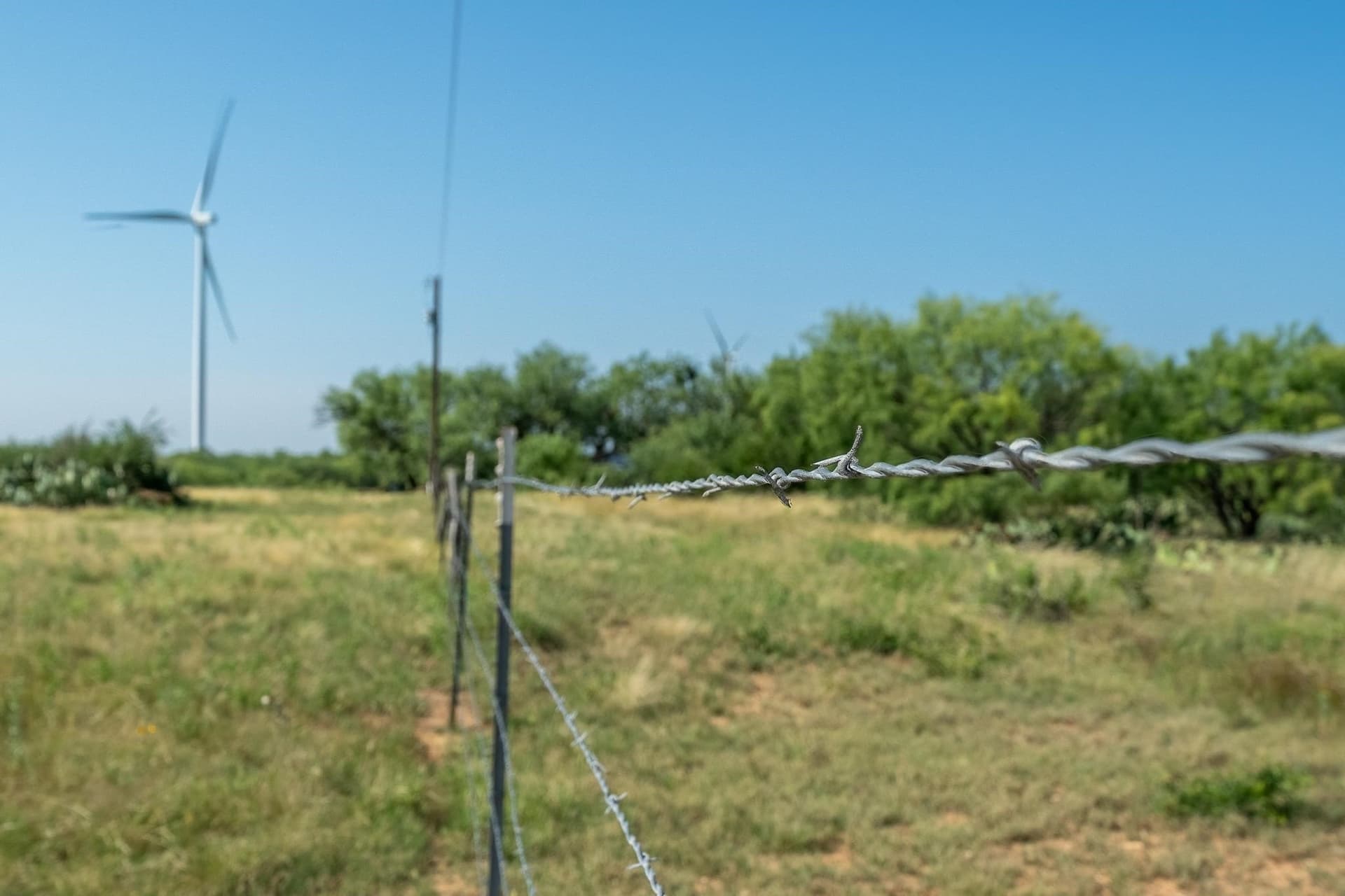 191.5 acres in Callahan County - photo 39