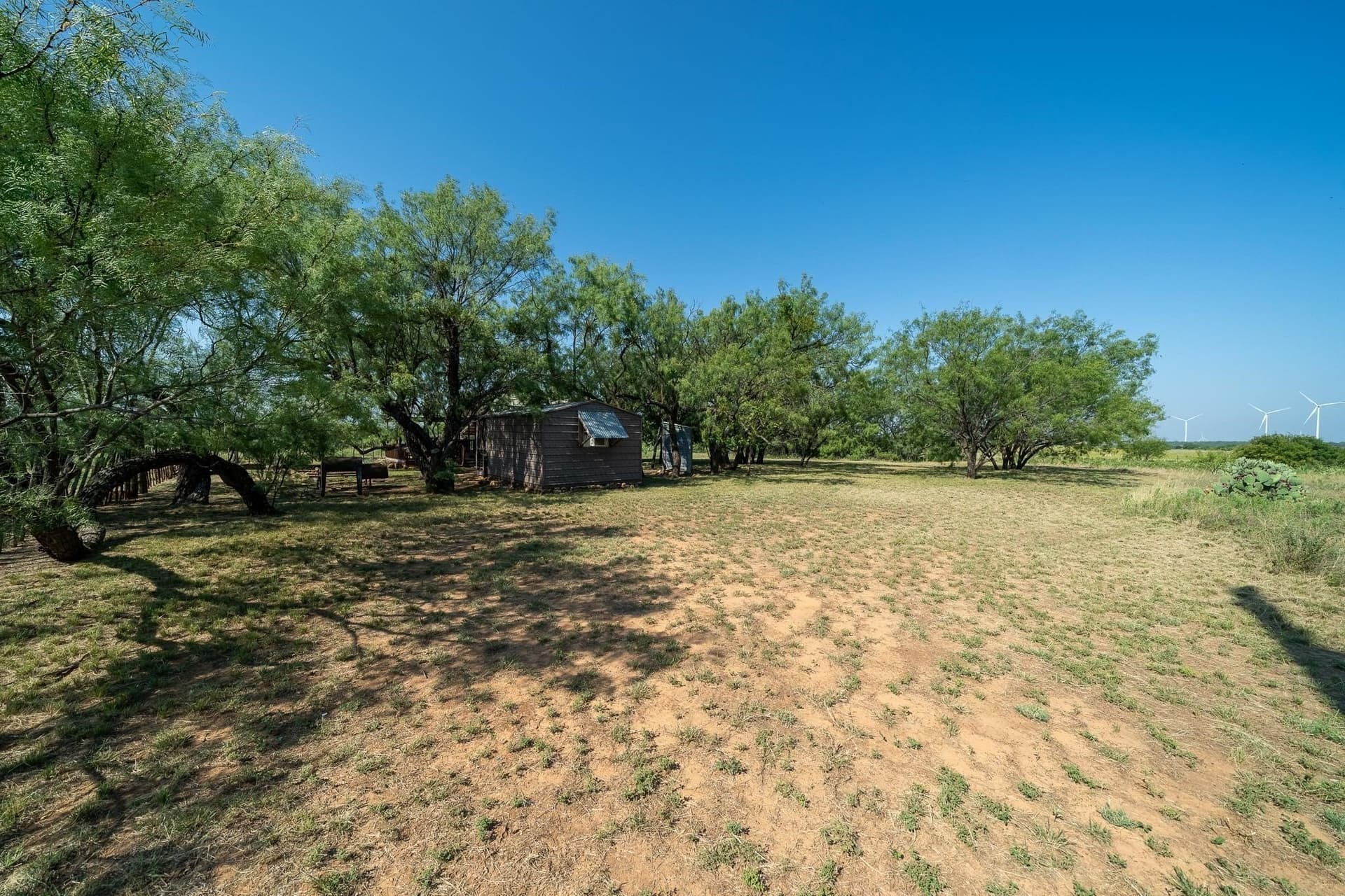 191.5 acres in Callahan County - photo 18