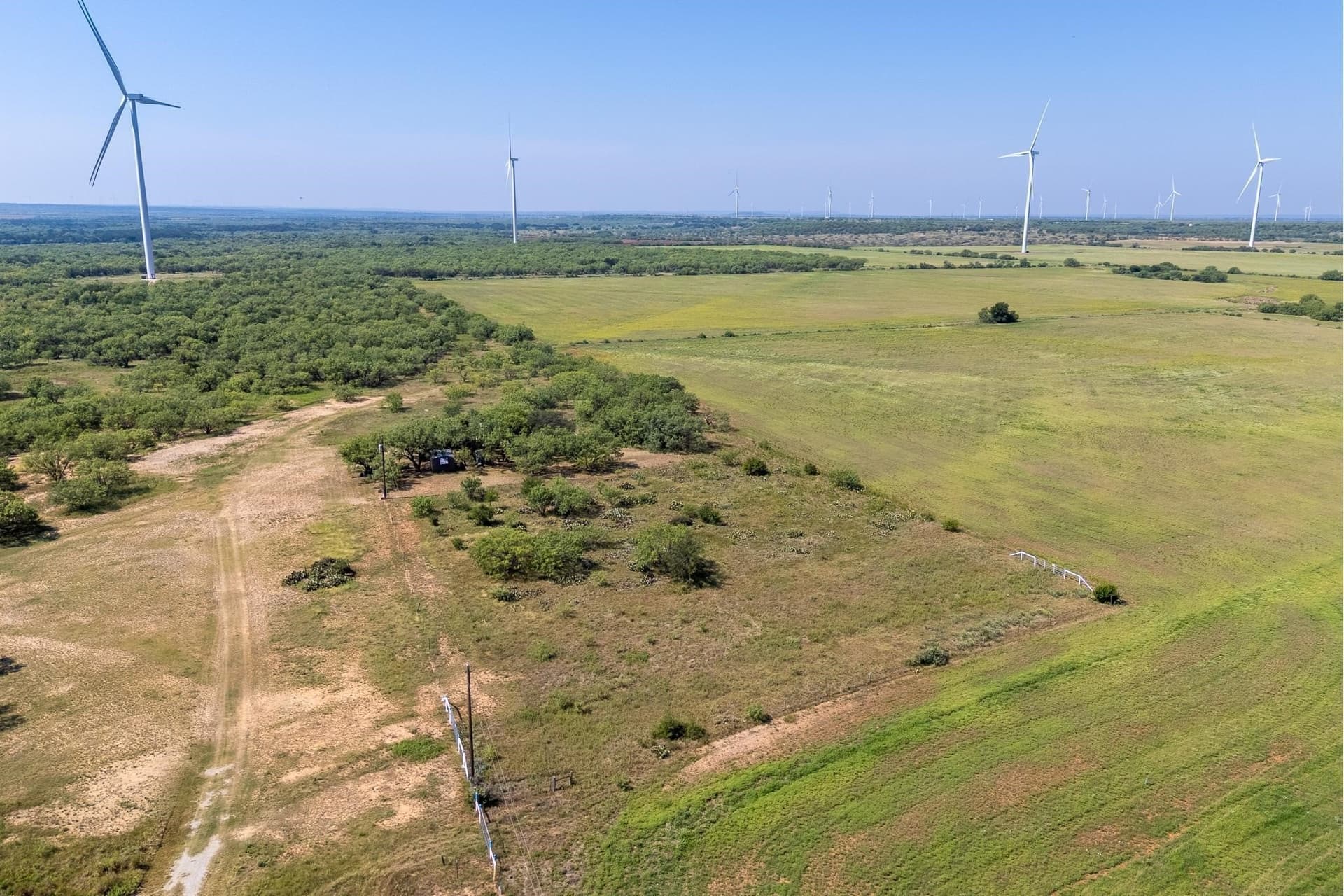 191.5 acres in Callahan County - photo 29