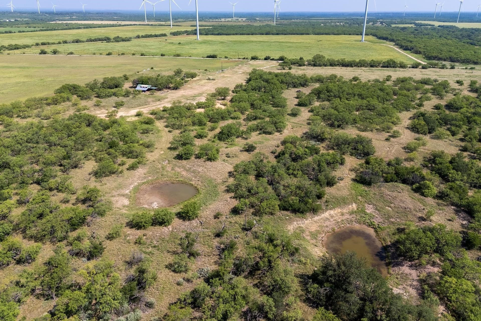 191.5 acres in Callahan County - photo 36