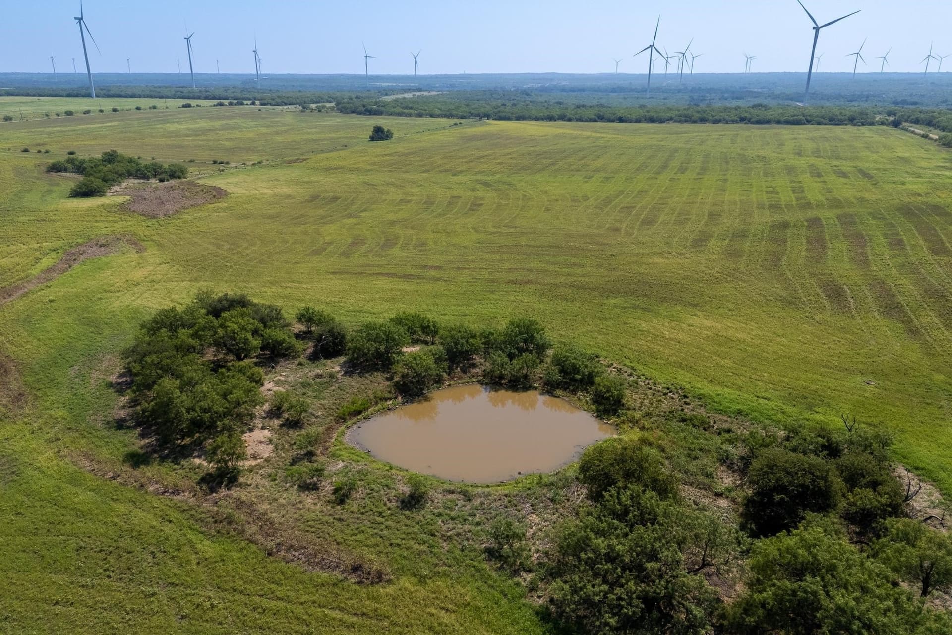 191.5 acres in Callahan County - photo 6