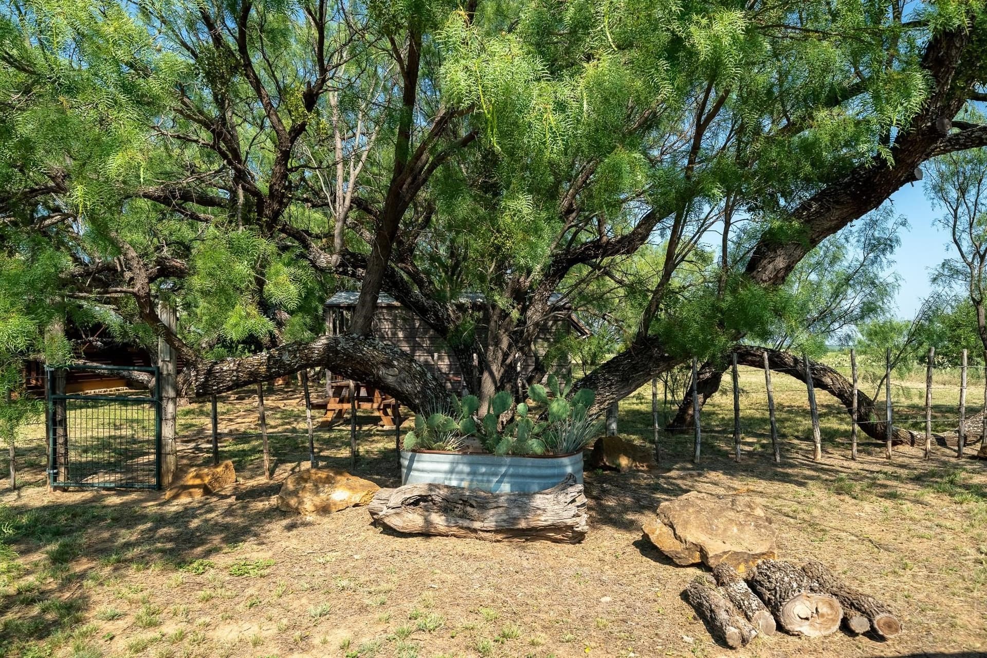 191.5 acres in Callahan County - photo 22