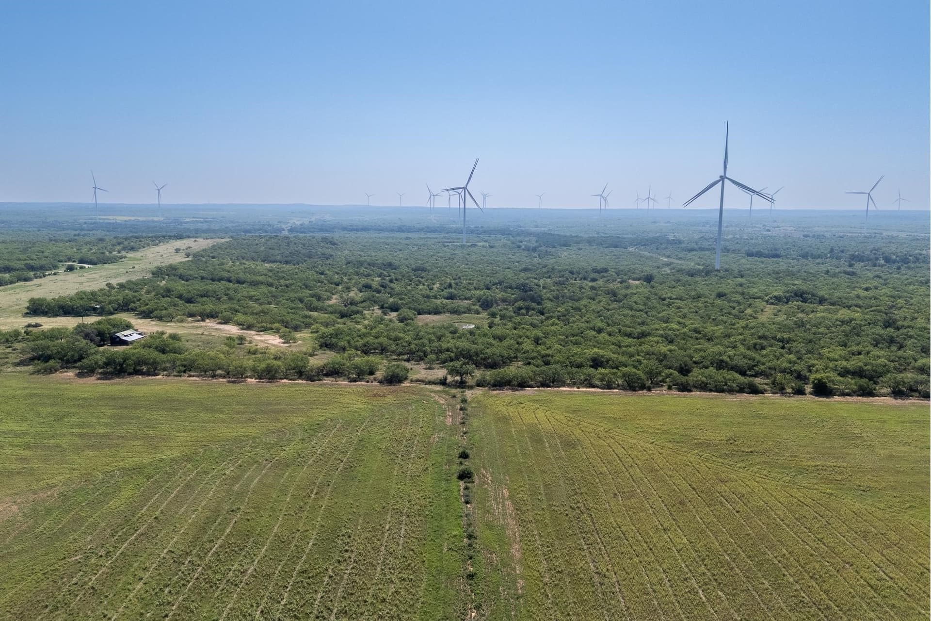 191.5 acres in Callahan County - photo 31
