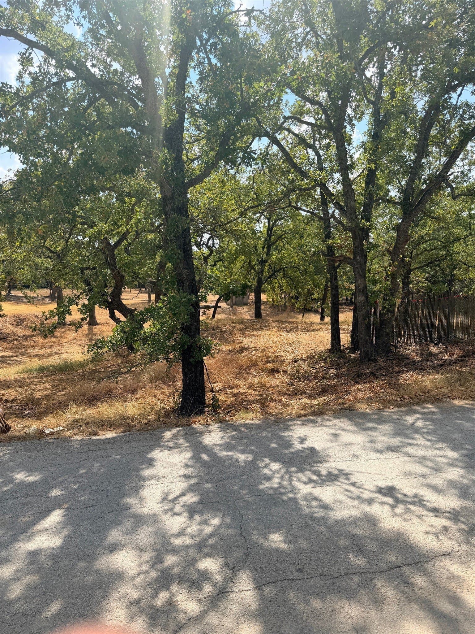0.35 acres in Montague County - photo 3
