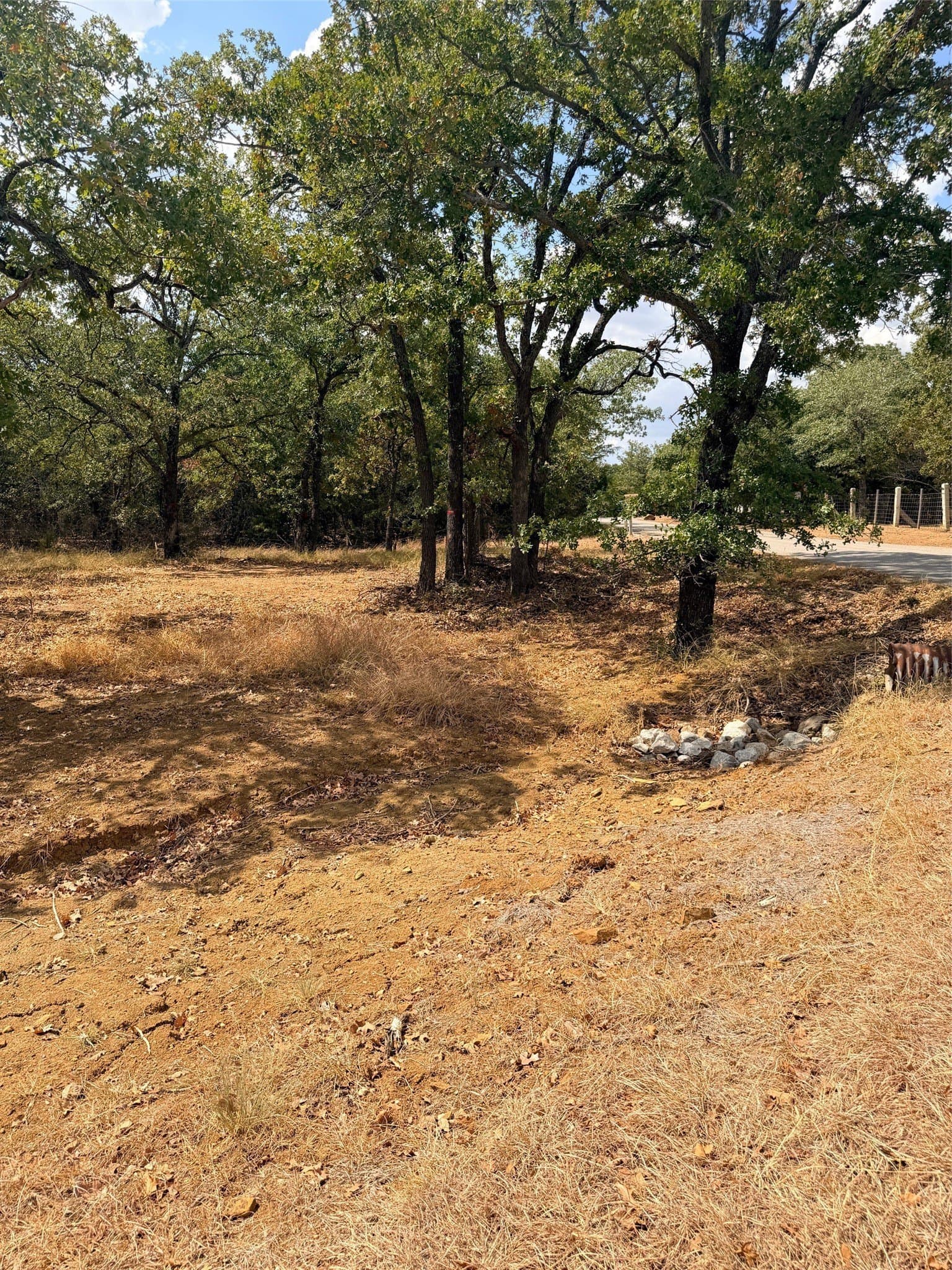 0.35 acres in Montague County - photo 5