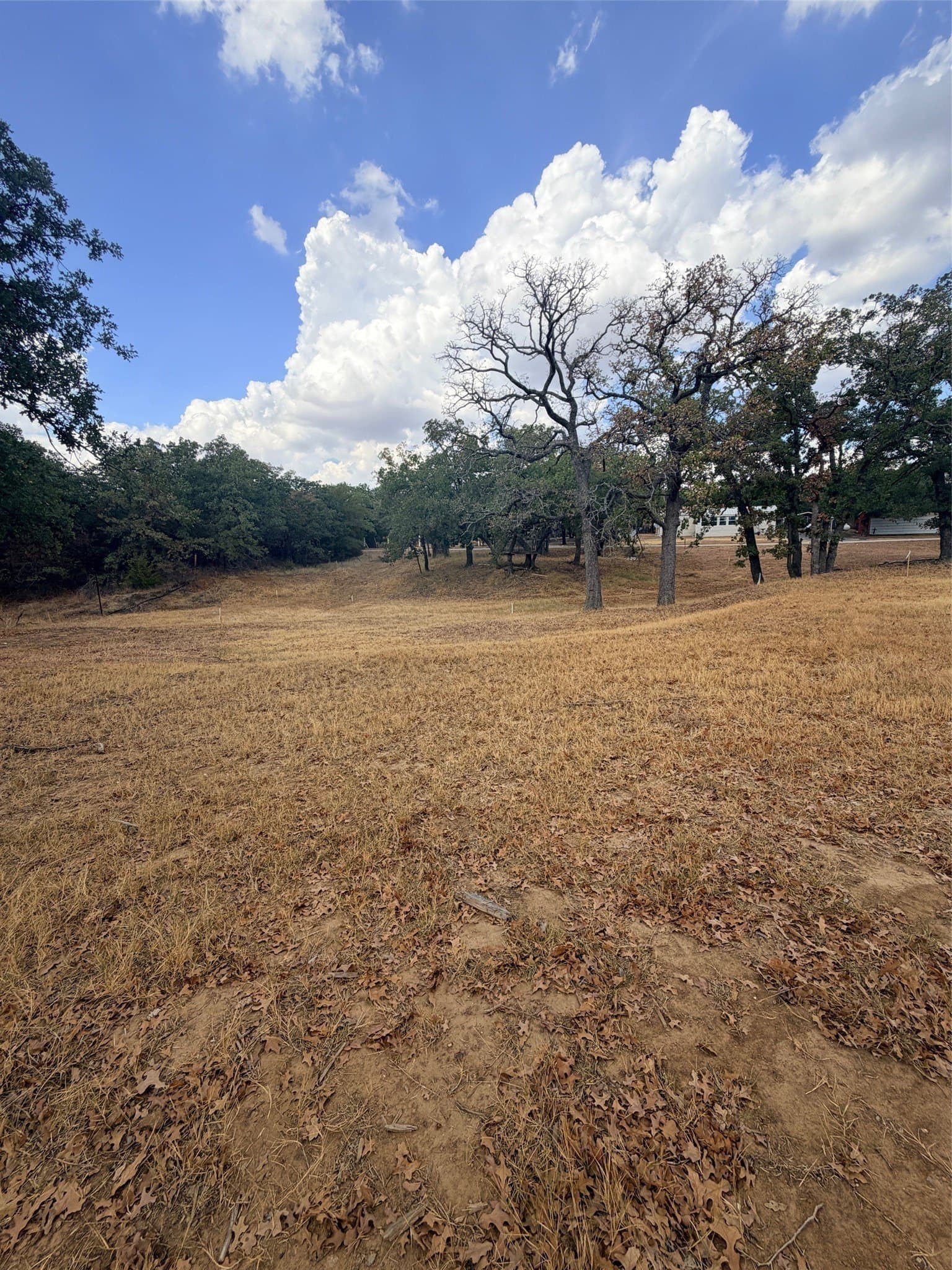 0.35 acres in Montague County - photo 10