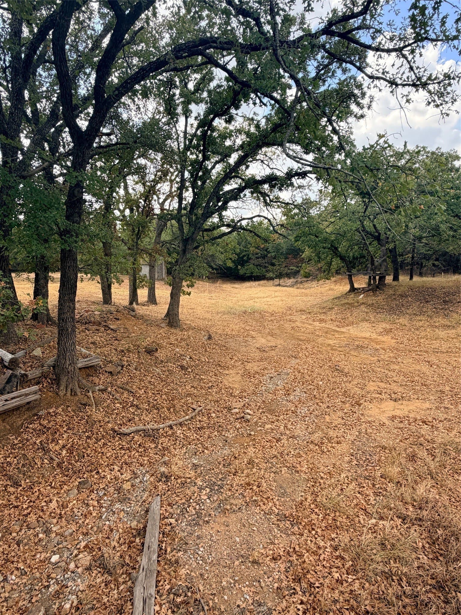 0.35 acres in Montague County - photo 12