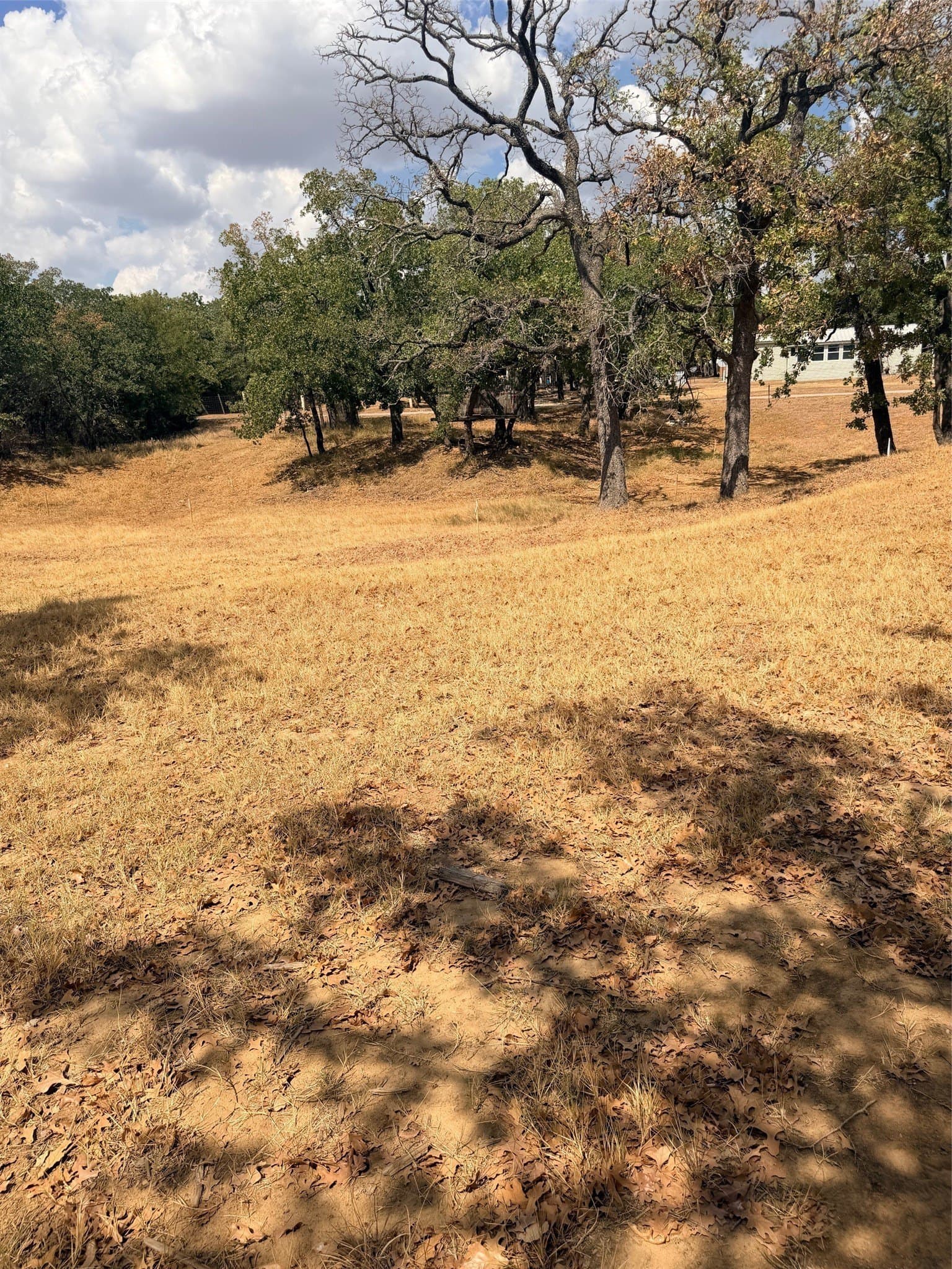 0.35 acres in Montague County - photo 7