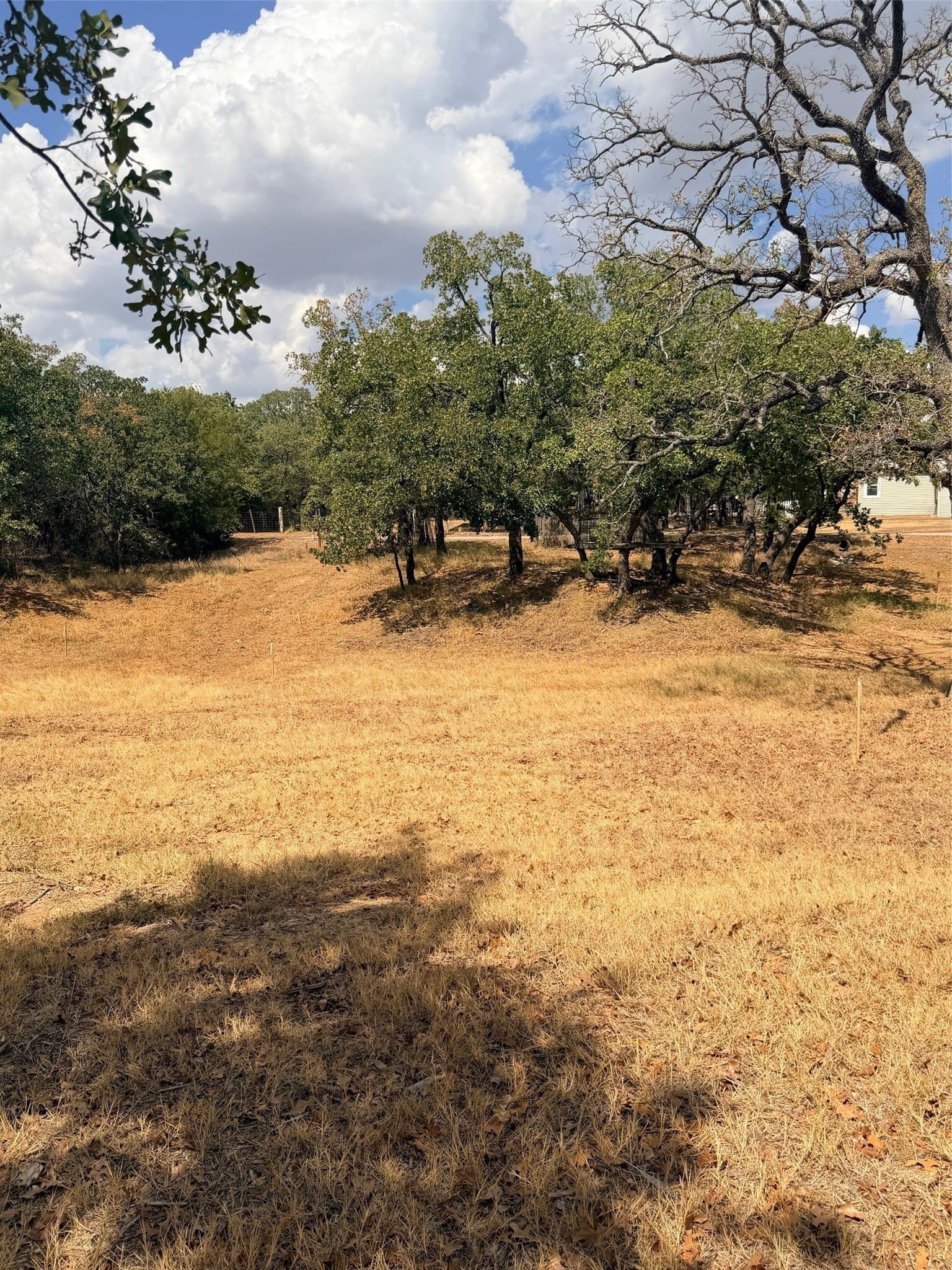 0.35 acres in Montague County - photo 9