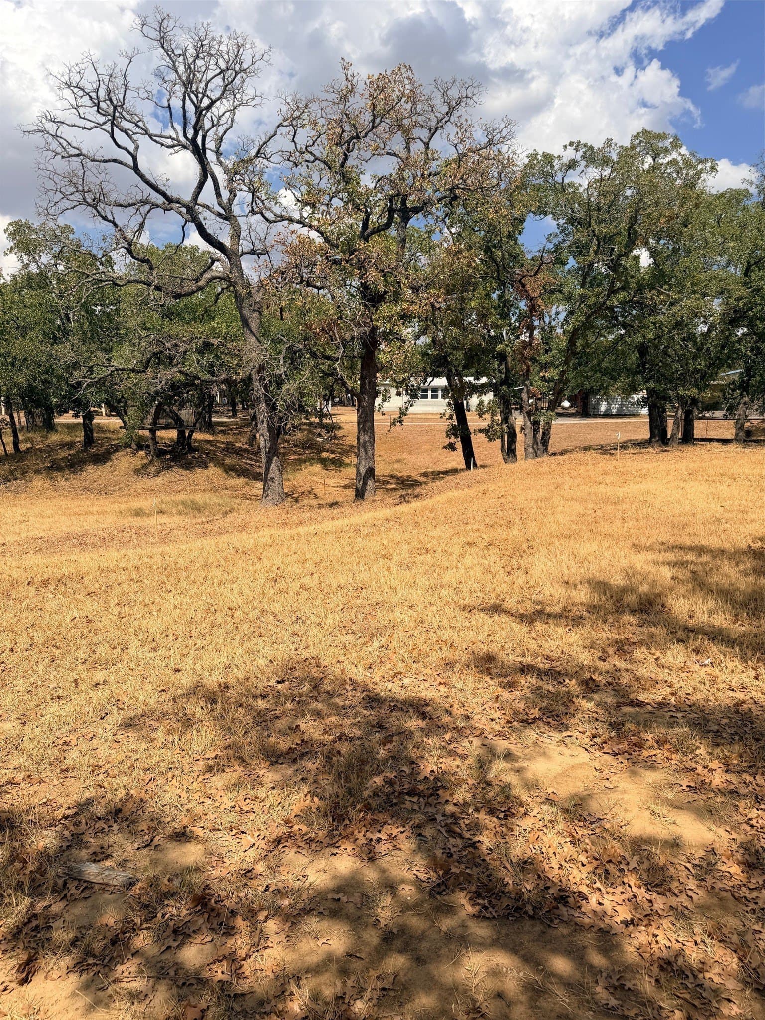 0.35 acres in Montague County - photo 6