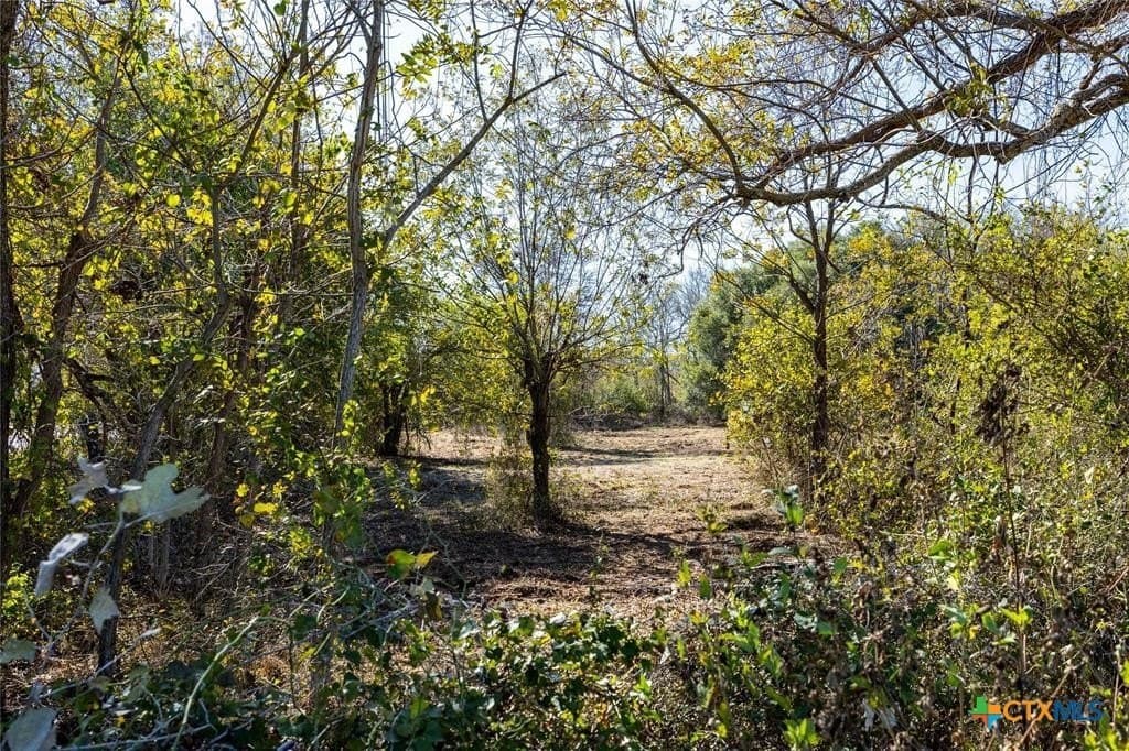 5 acres in Caldwell County - photo 16