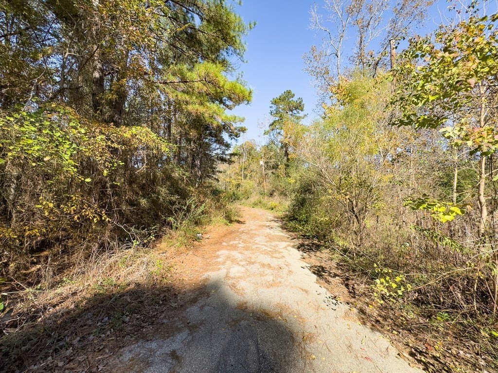 0.27 acres in Texas County - photo 5