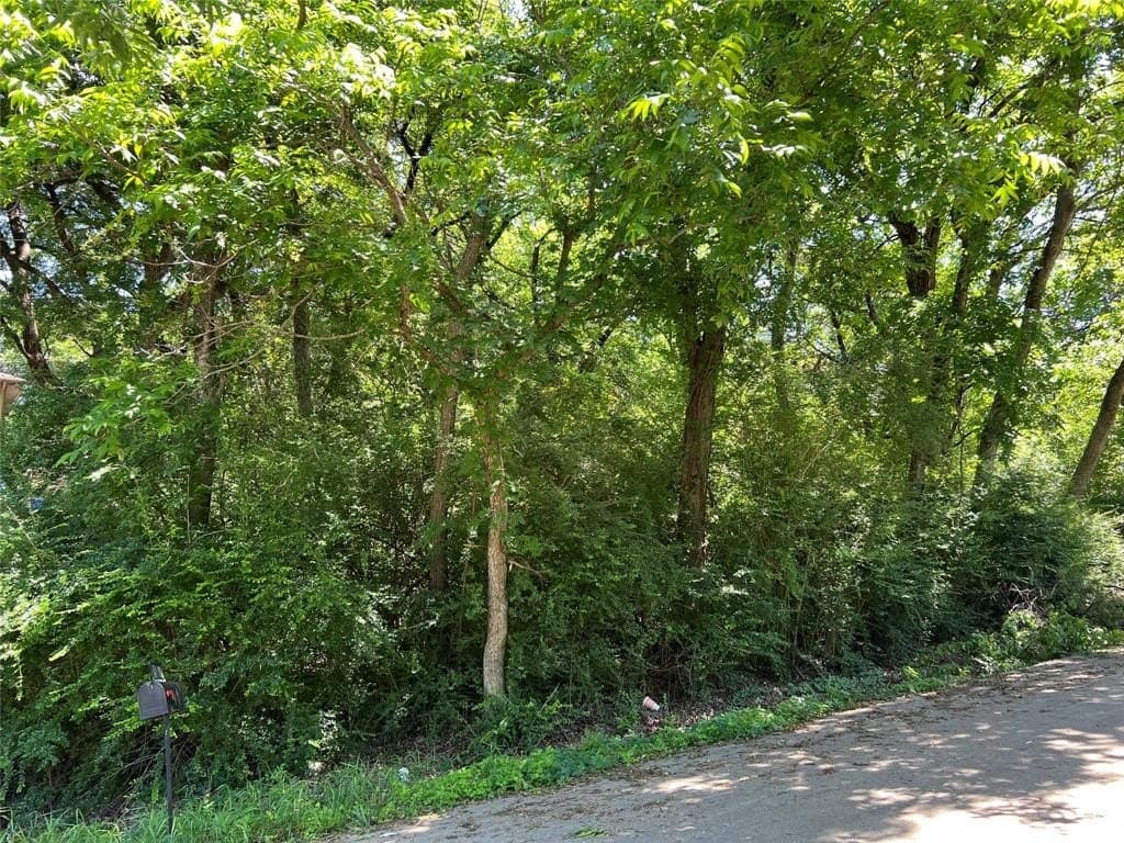 0.5 acres in Dallas County gallery image 2