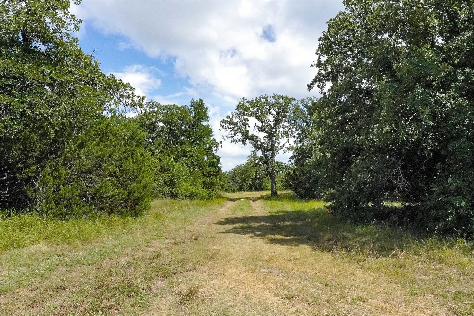 157 acres in Jack County - photo 27