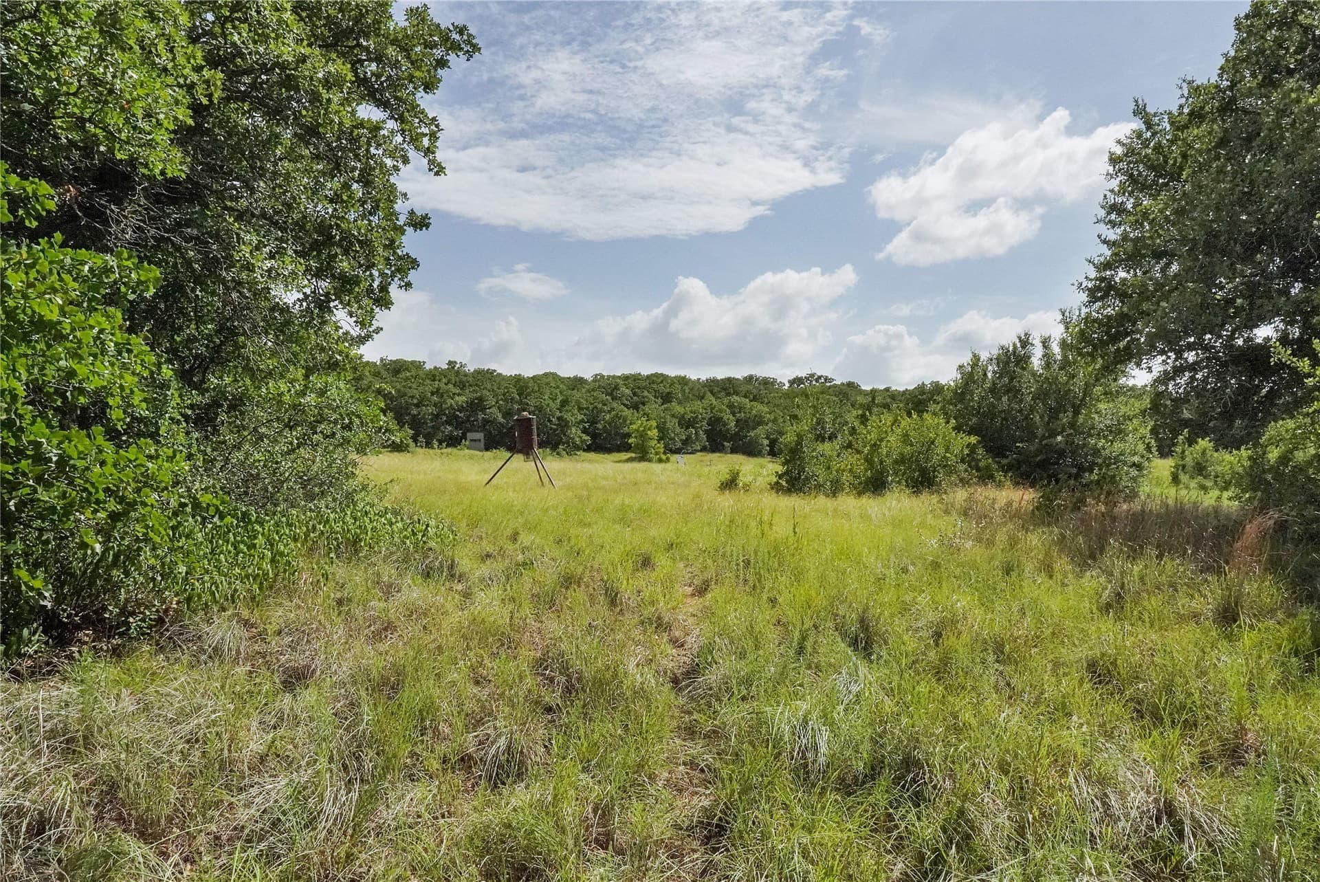 157 acres in Jack County - photo 34
