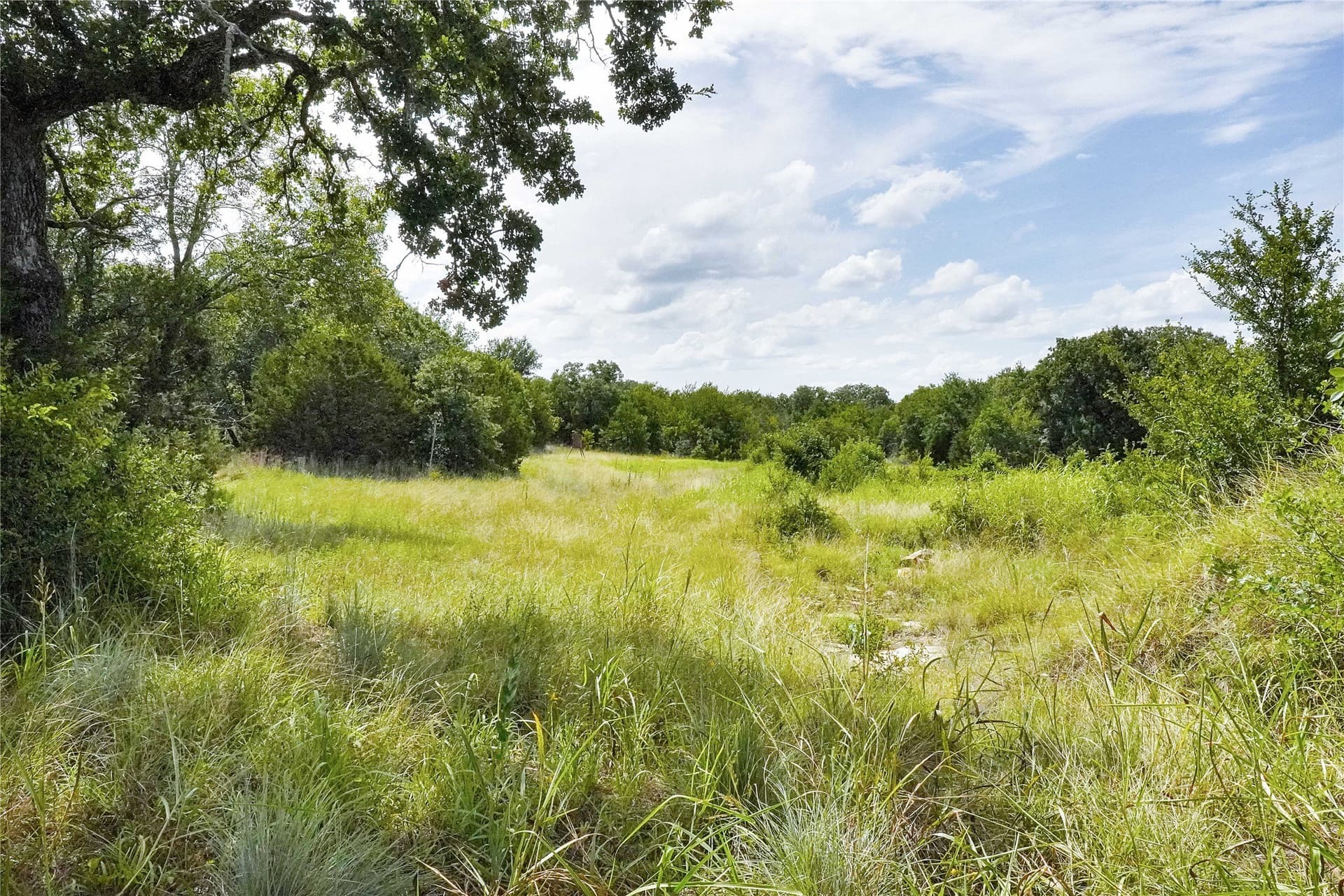157 acres in Jack County - photo 26