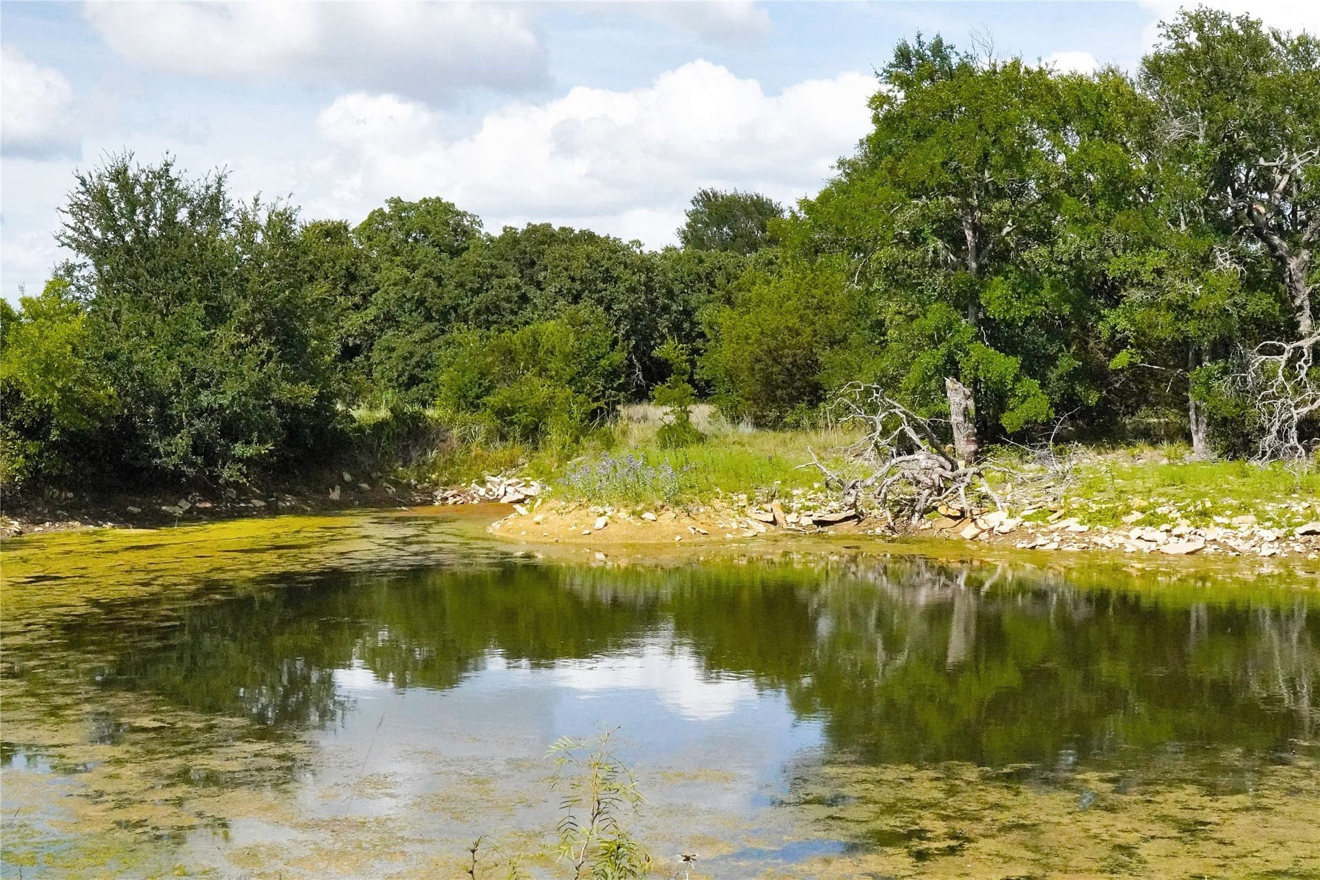 157 acres in Jack County - photo 33