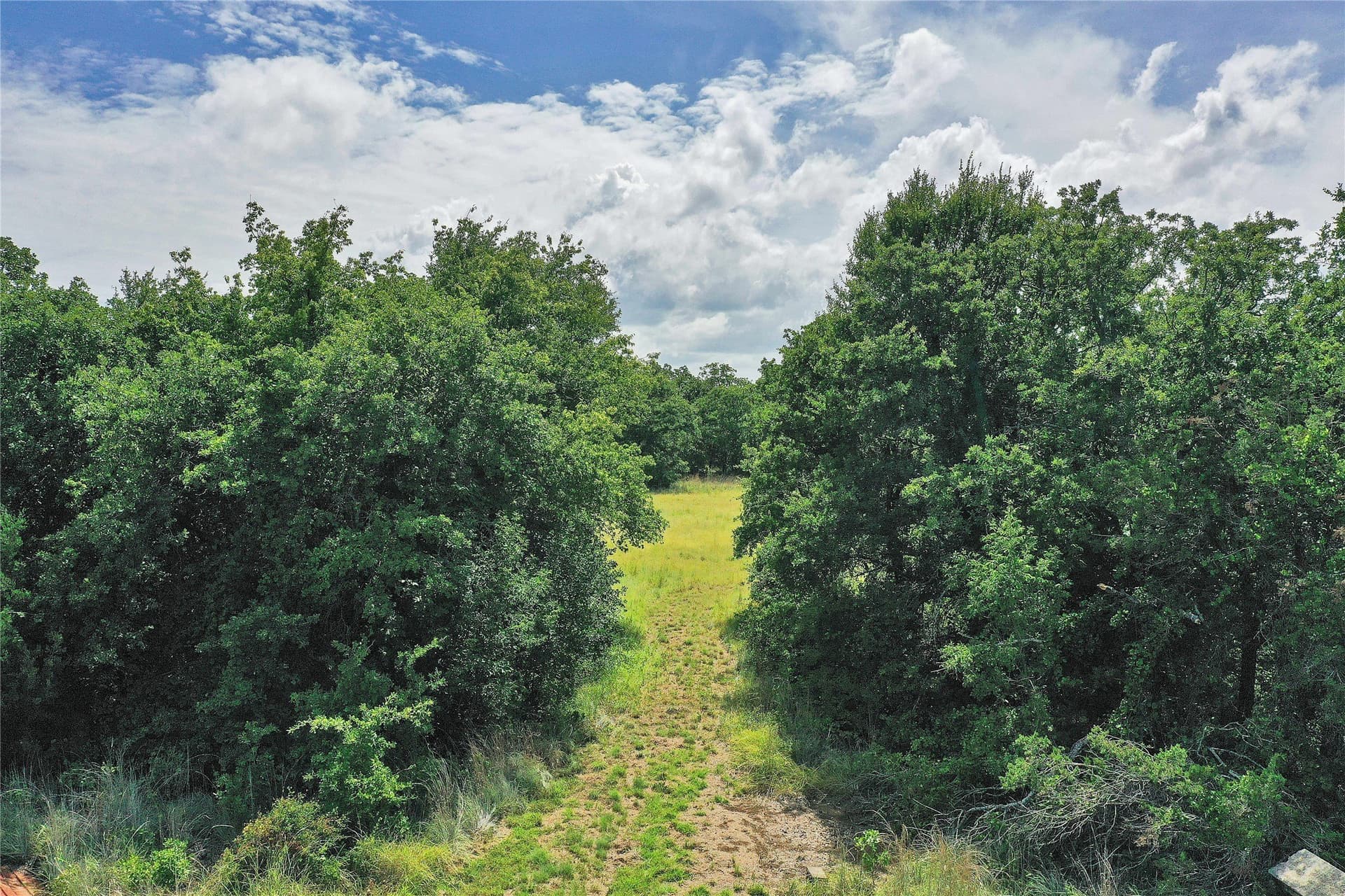 157 acres in Jack County - photo 11