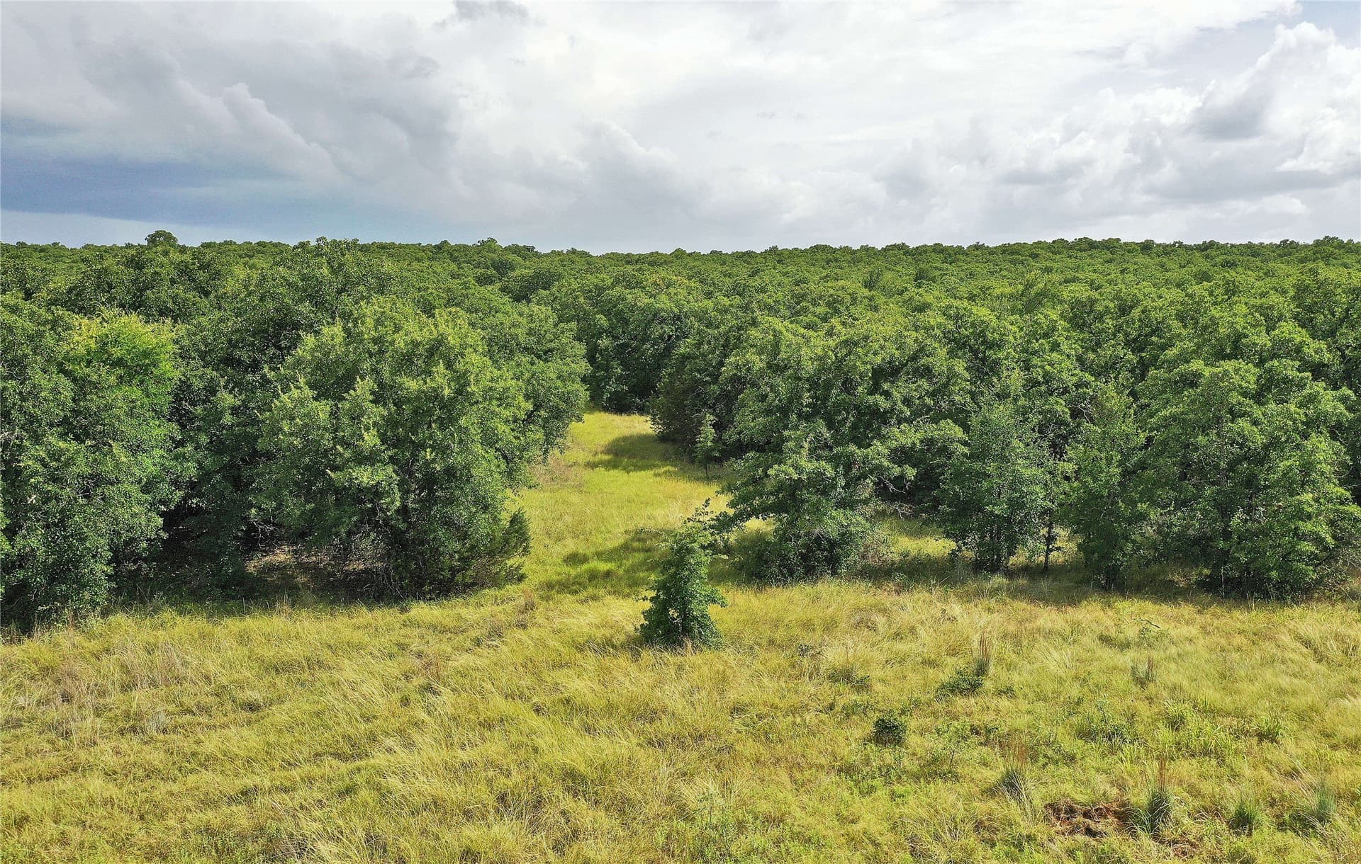157 acres in Jack County - photo 16