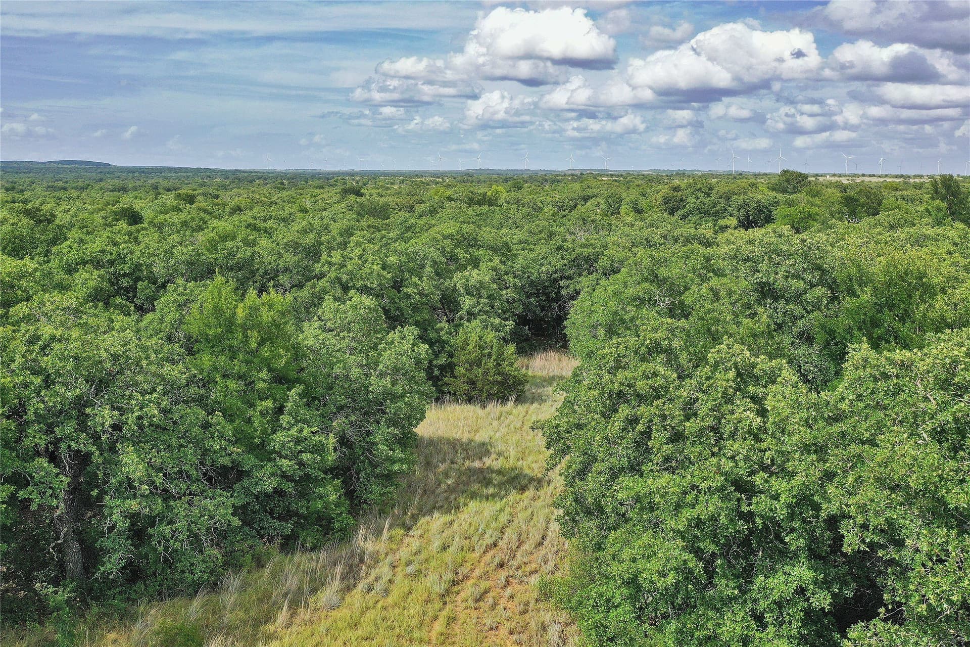 157 acres in Jack County - photo 14