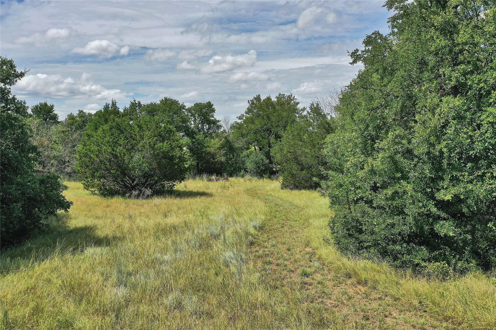 157 acres in Jack County - photo 5