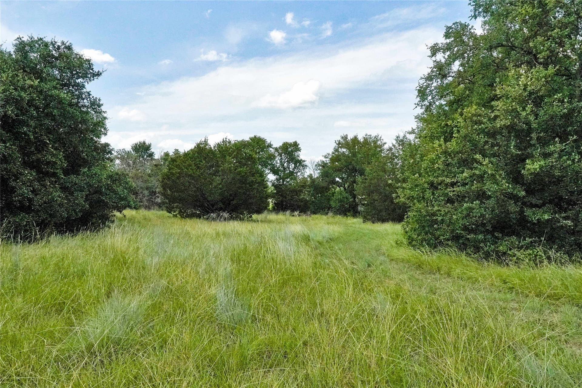 157 acres in Jack County - photo 23