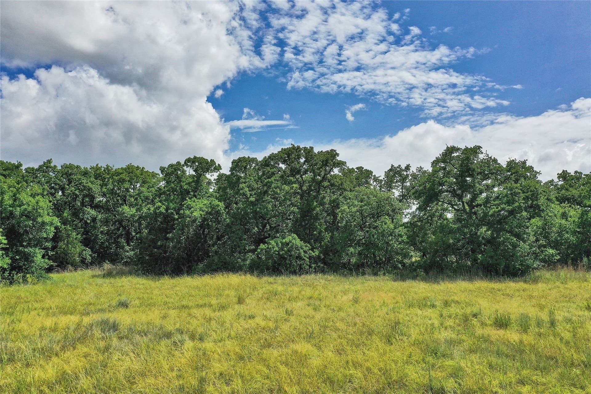 157 acres in Jack County - photo 2