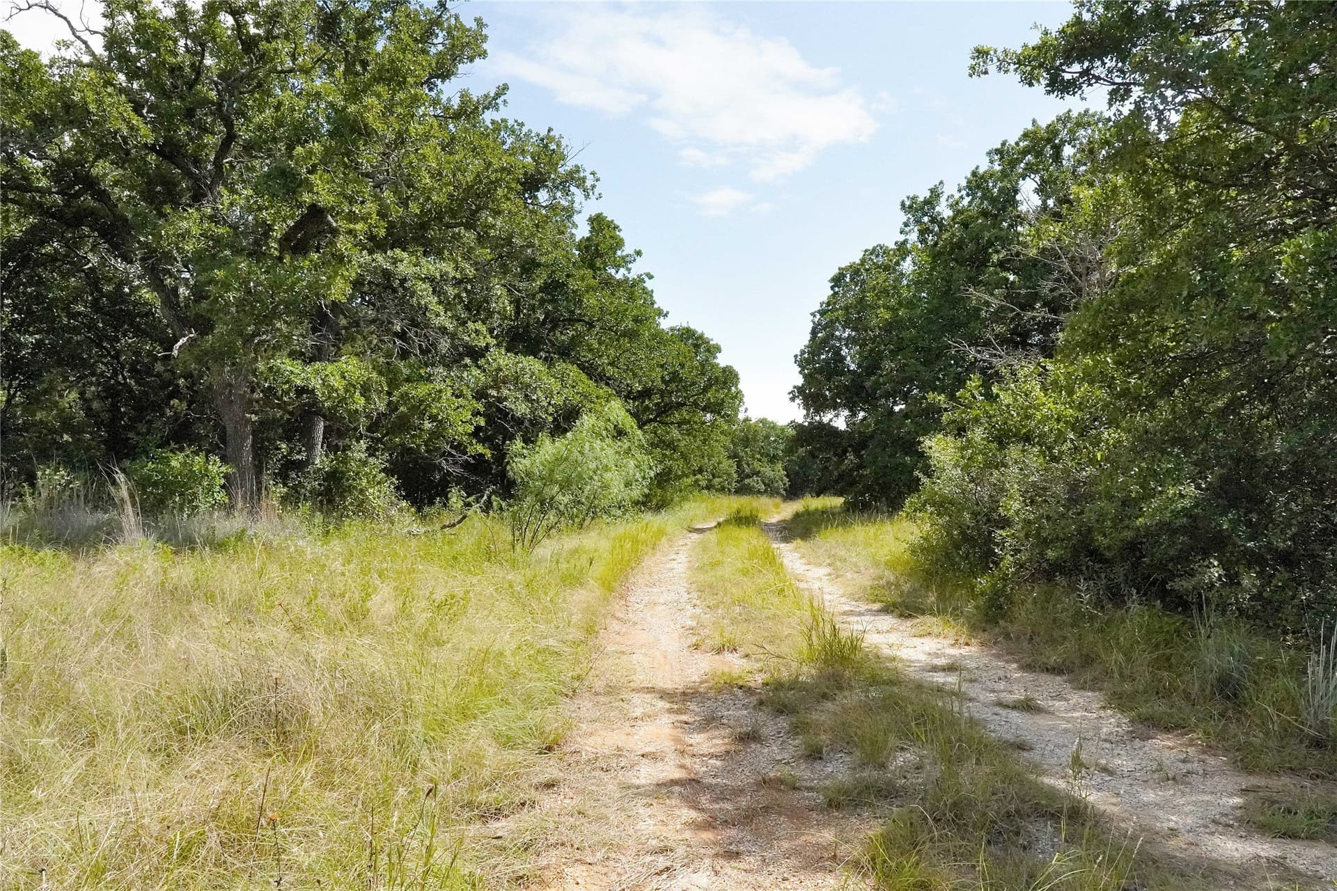 157 acres in Jack County - photo 29