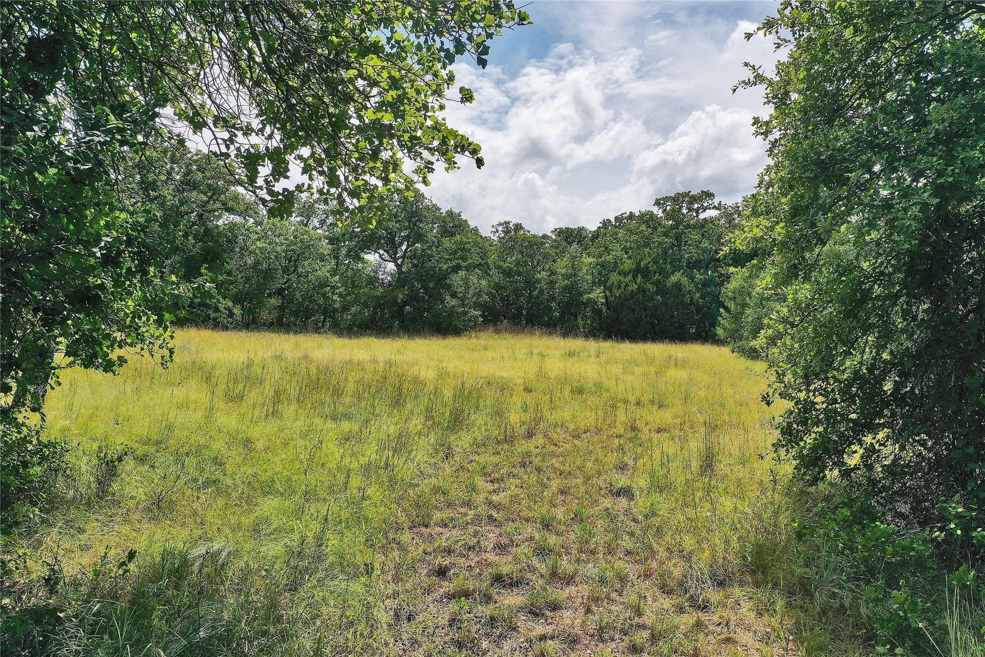 157 acres in Jack County - photo 12