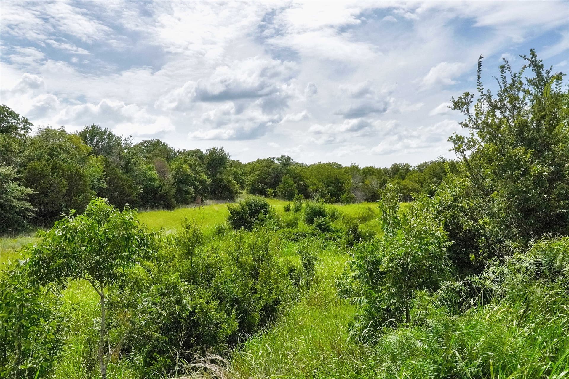157 acres in Jack County - photo 36