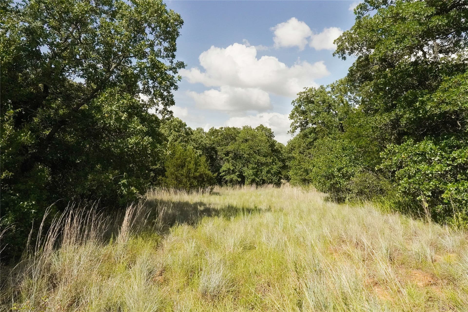 157 acres in Jack County - photo 32