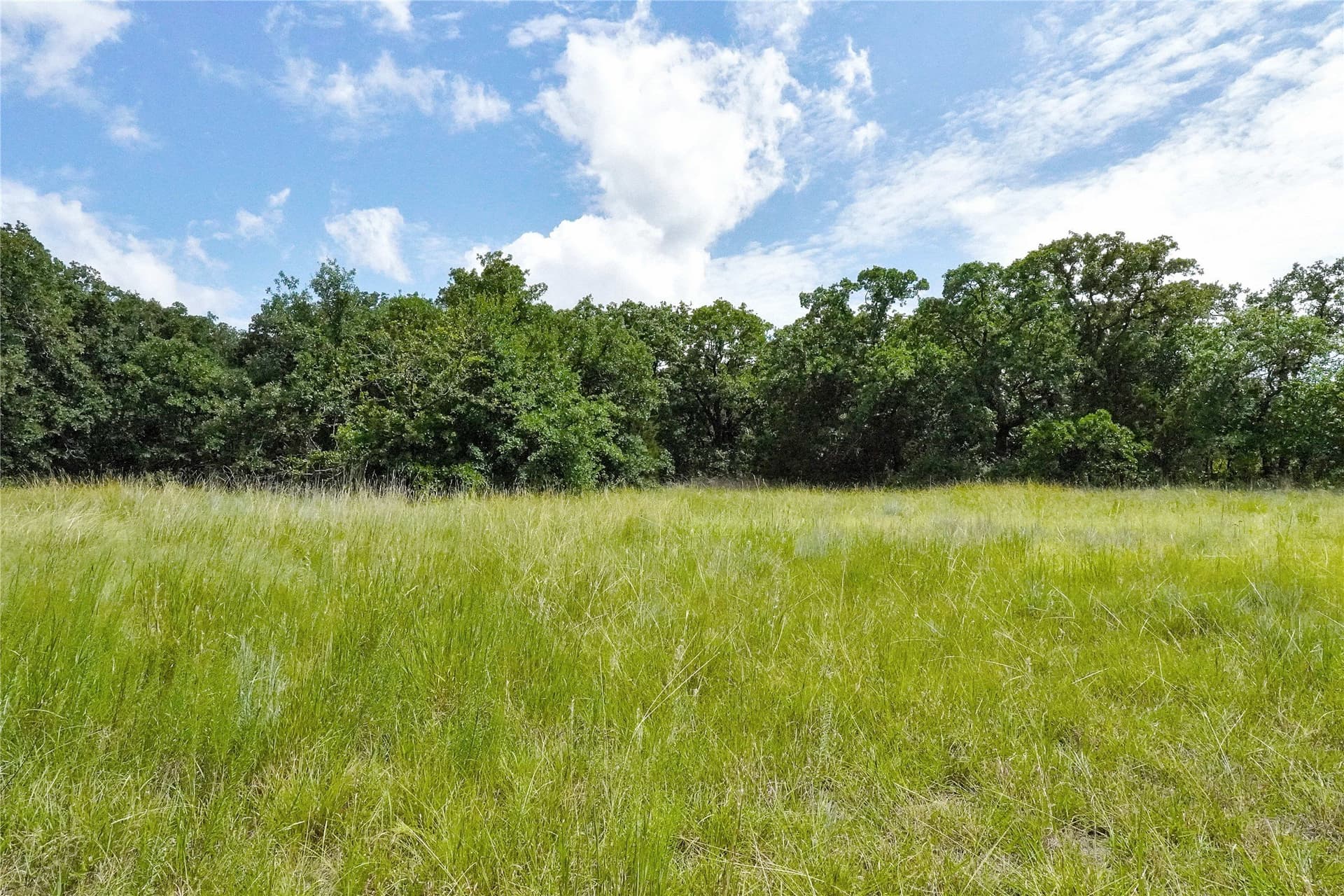157 acres in Jack County - photo 22