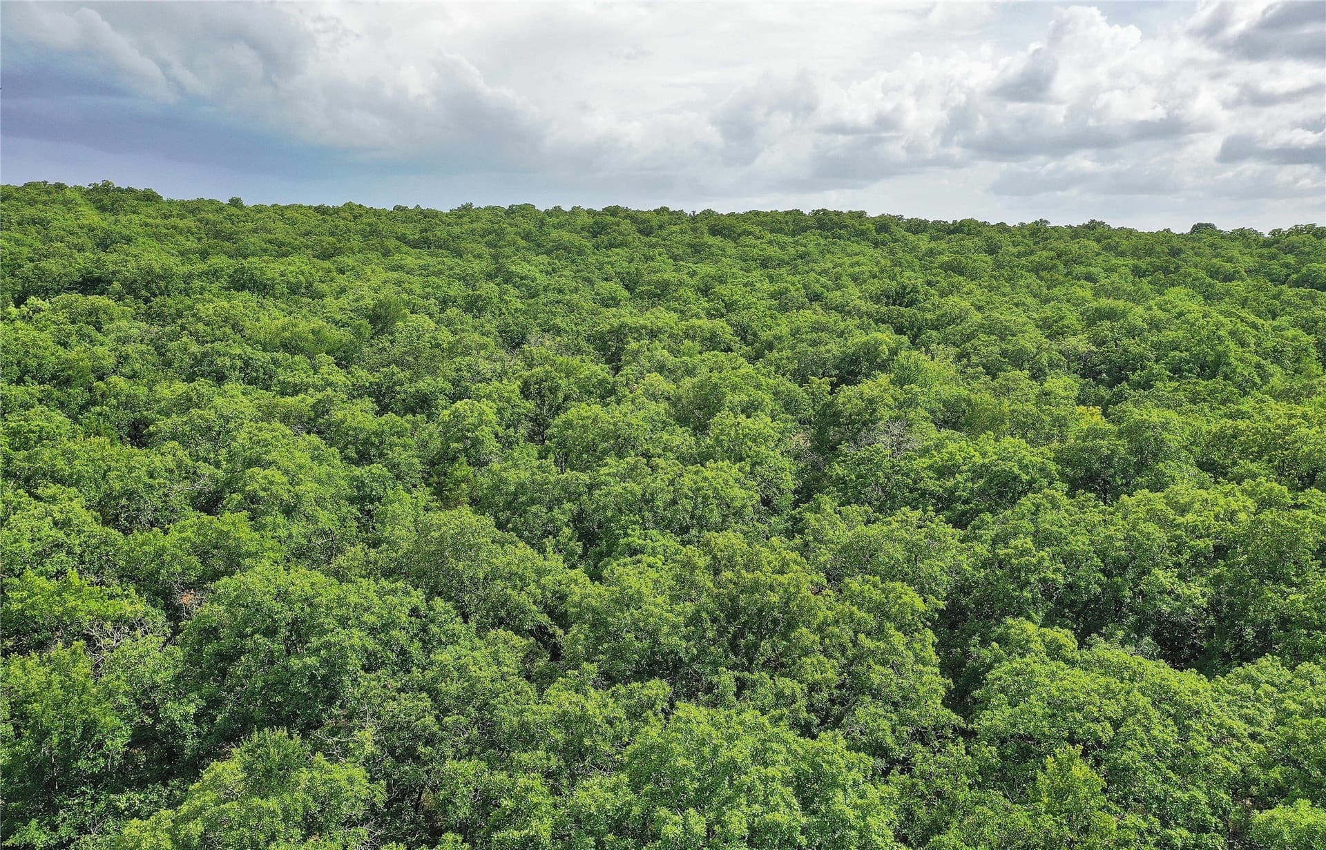 157 acres in Jack County - photo 15