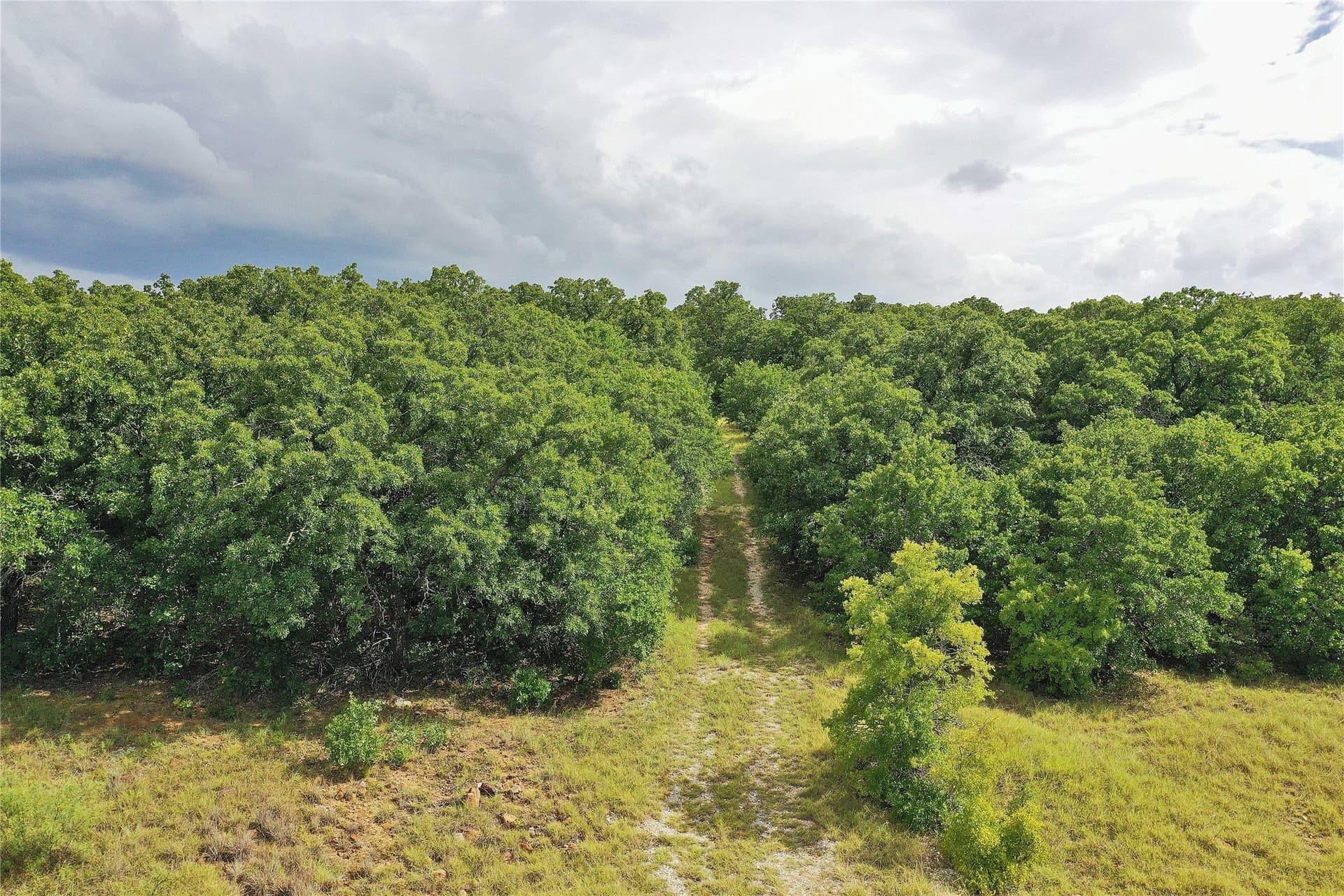 157 acres in Jack County - photo 21