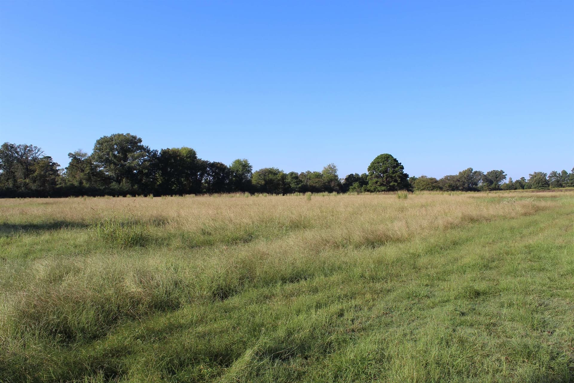 25 acres in Marion County