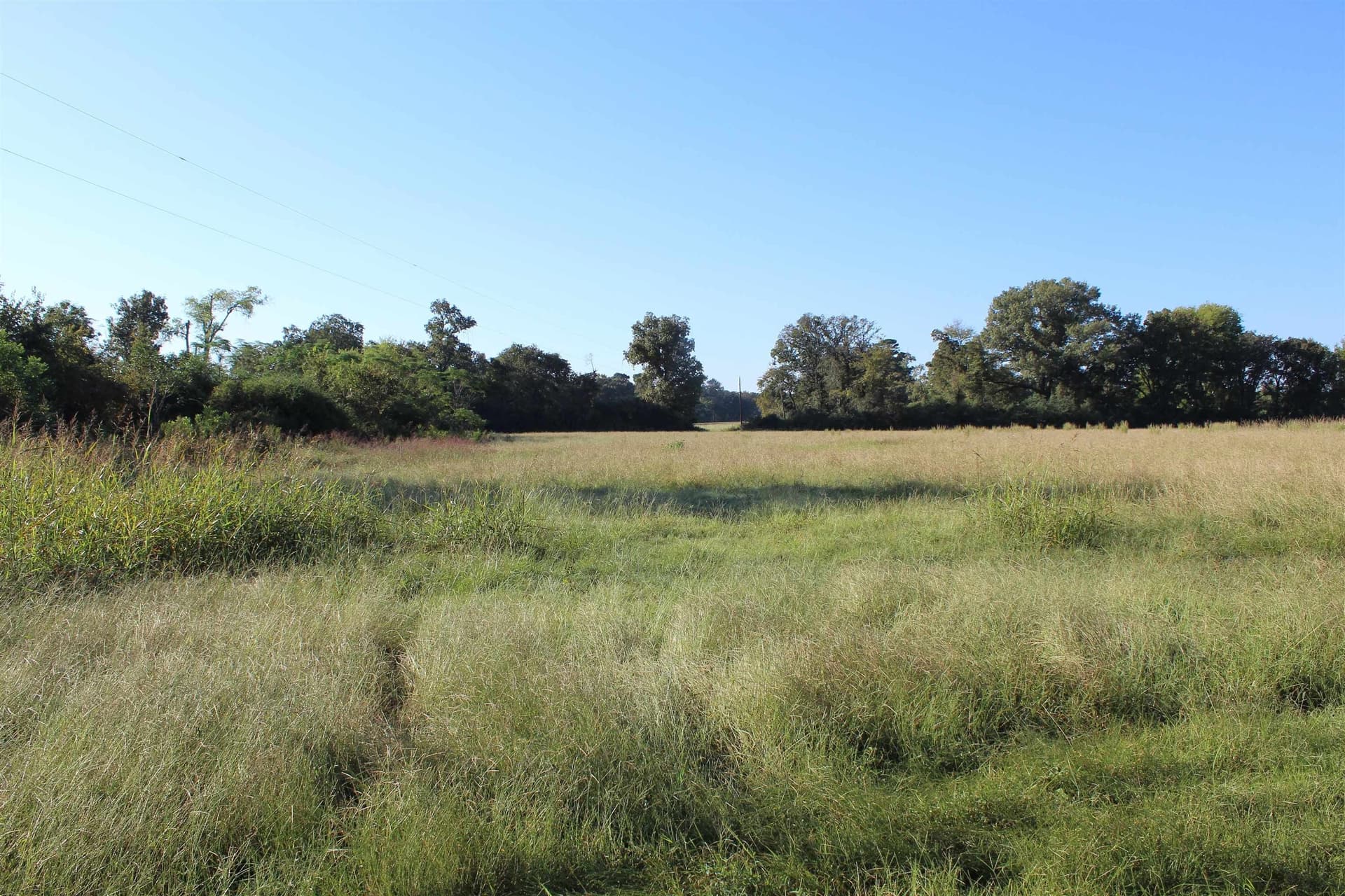 25 acres in Marion County gallery image 2