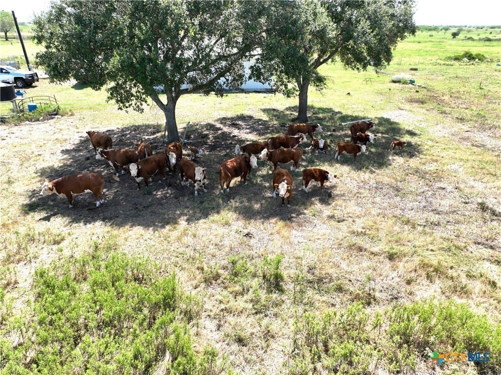 19.96 acres in Victoria County - photo 7