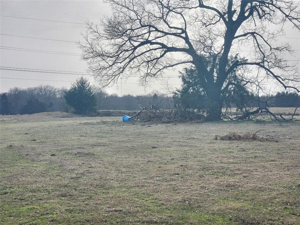 14 acres in Wood County gallery image 4