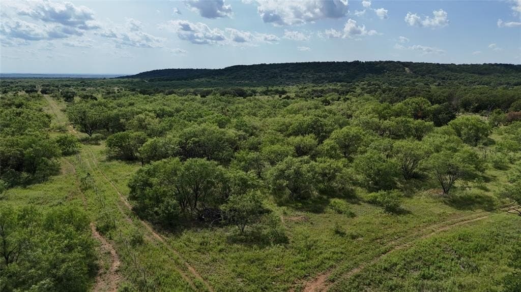200.18 acres in Stephens County gallery image 4