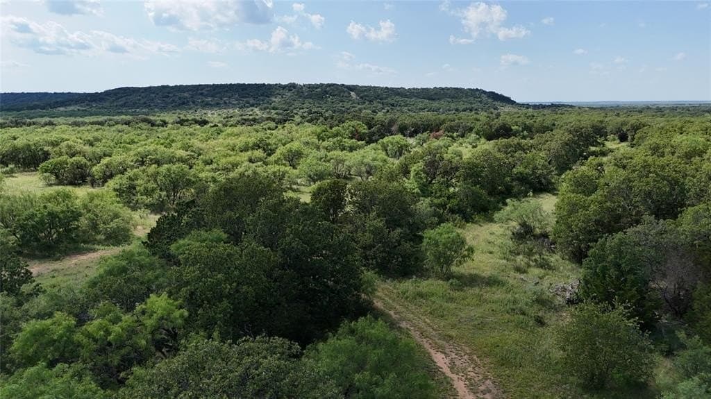200.18 acres in Stephens County gallery image 3