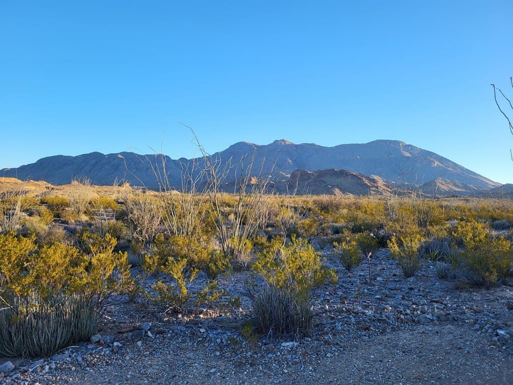 40 acres in Brewster County - photo 13