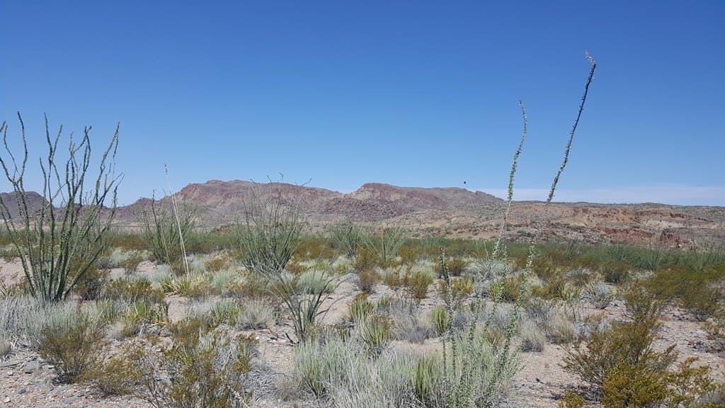 40 acres in Brewster County featured view