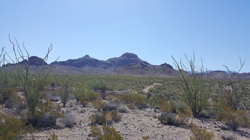 40 acres in Brewster County gallery image 4