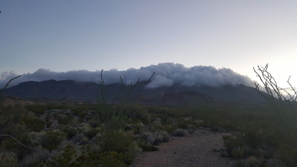 40 acres in Brewster County gallery image 2