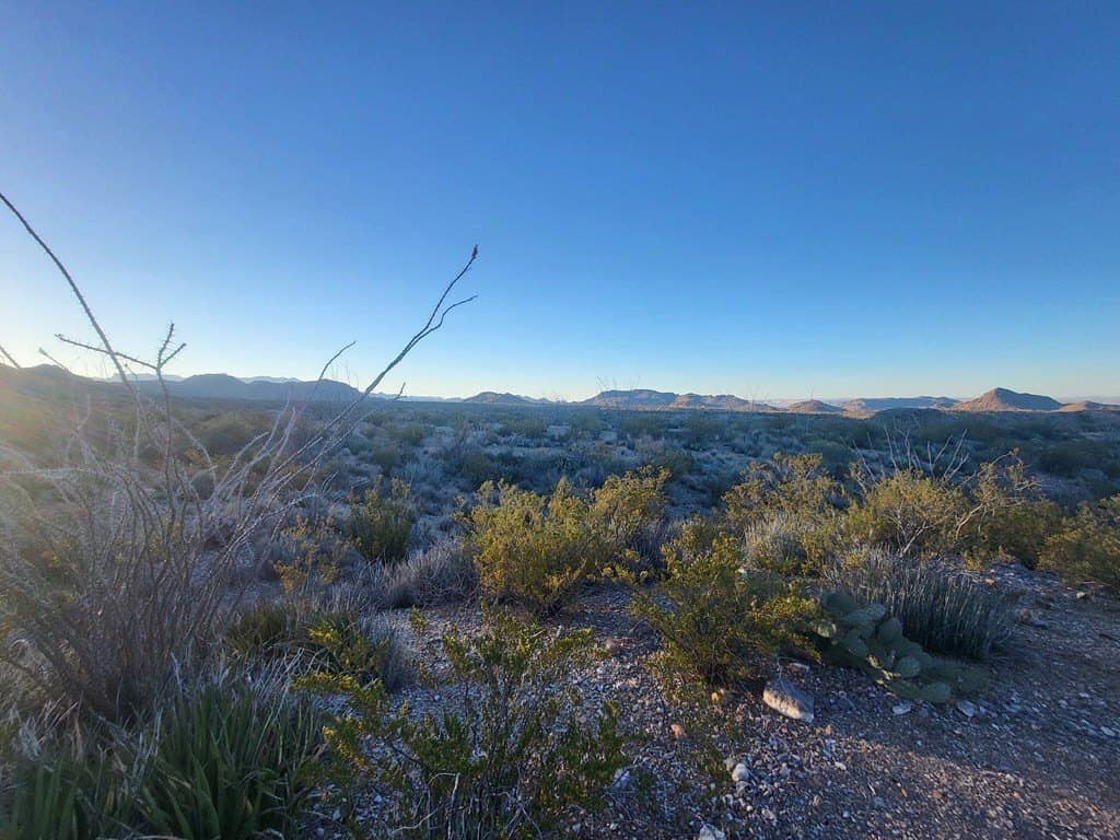 40 acres in Brewster County - photo 11