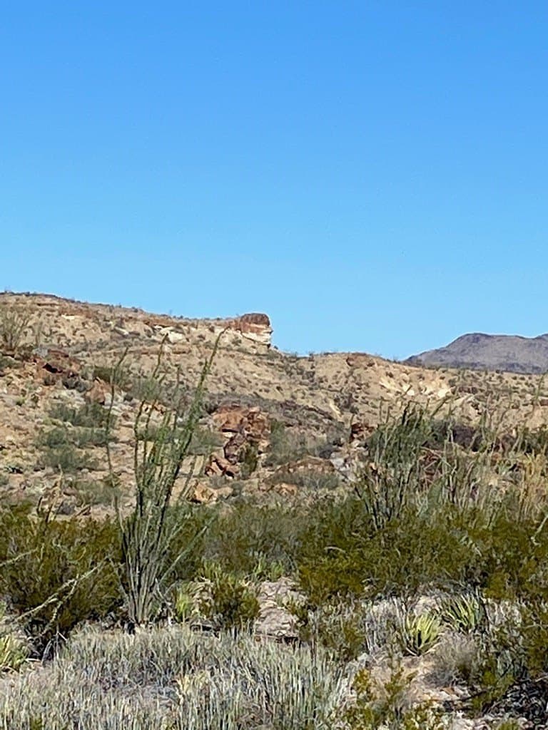 40 acres in Brewster County - photo 22