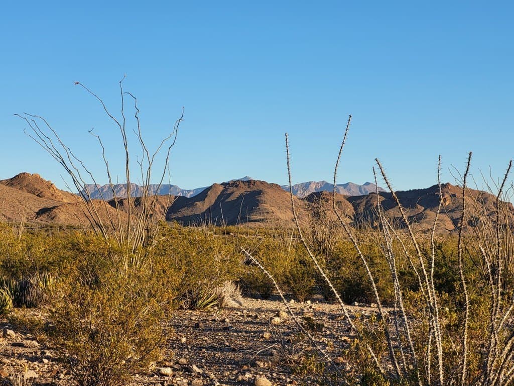 40 acres in Brewster County - photo 9
