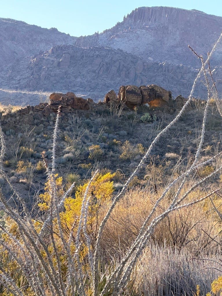 40 acres in Brewster County - photo 20