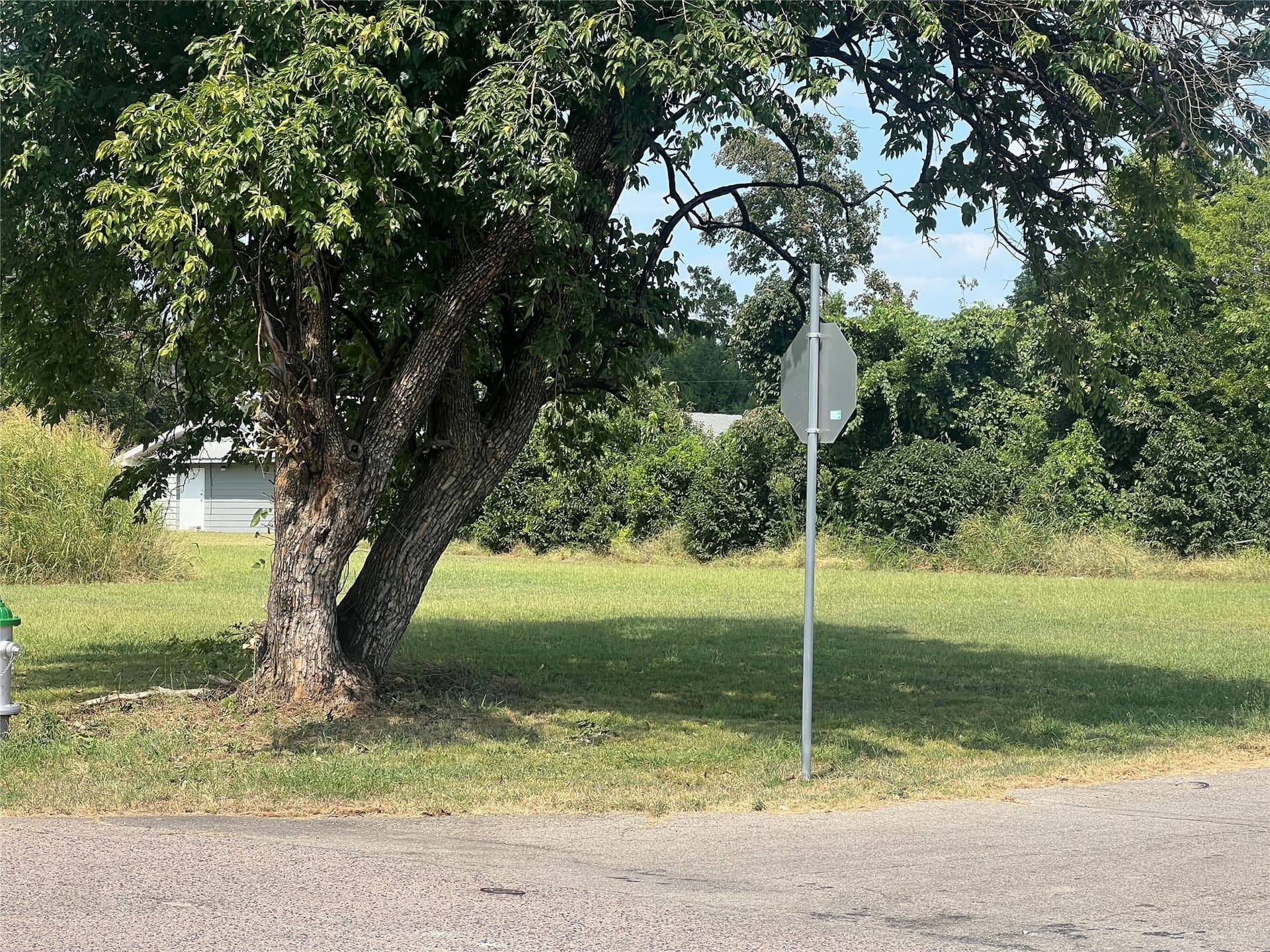 0.21 acres in Fannin County - photo 4